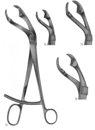 Bone Holding Forceps